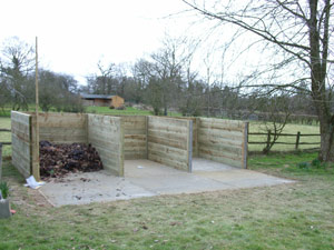 Garden Photo