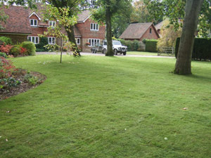 Garden Photo